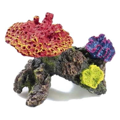 Coralli piccoli decorazione acquario, 2 pezzi
