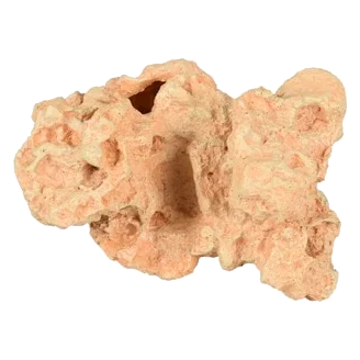 Corallo Sahara decorazione acquario