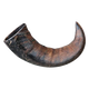 Corno di bufalo da masticare per cani, 15 e 20 cm