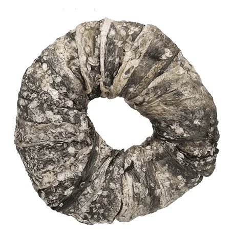 Ciambella di pelle di pesce My Friends per cani, 9 cm, 90 g