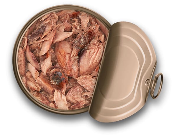 Cibo umido per gatti Schesir Silver tonno e sgombro, 70 g – immagine 2