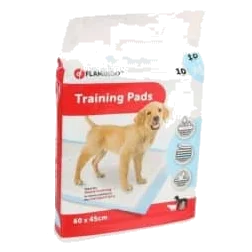 Traversine assorbenti per cani 60 x 45 cm, 10 pezzi