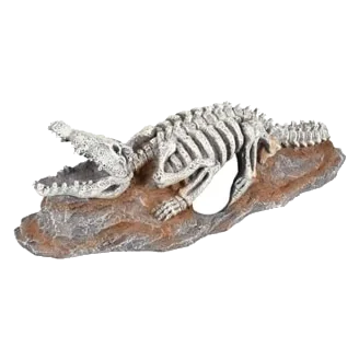 Scheletro di coccodrillo decorazione acquario