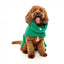 Cappottino per cani a collo alto FuzzYard The Snuggle, verde (taglia 1)