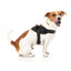 Pettorina riflettente per cani FuzzYard Flash Blackout
