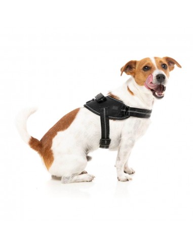 Pettorina riflettente per cani FuzzYard Flash Blackout