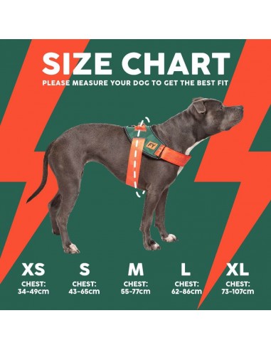 Pettorina riflettente per cani FuzzYard Flash Blackout