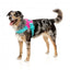 Pettorina riflettente per cani FuzzYard Flash Bubblegum