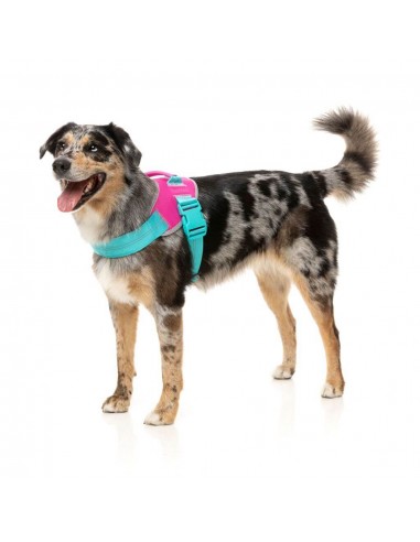 Pettorina riflettente per cani FuzzYard Flash Bubblegum