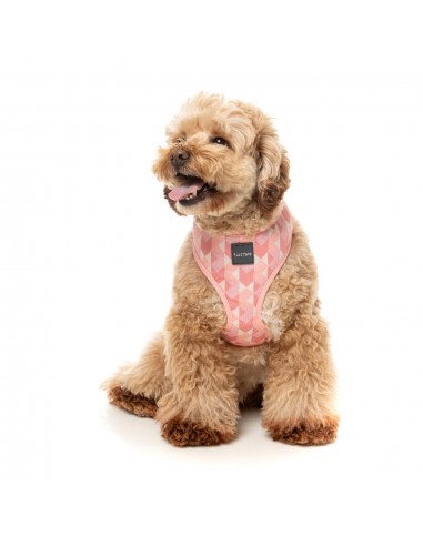 Pettorina per cani in lycra traspirante FuzzYard Pink Lemonade