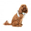 Pettorina step-in per cani FuzzYard Bubblegum Burst traspirante