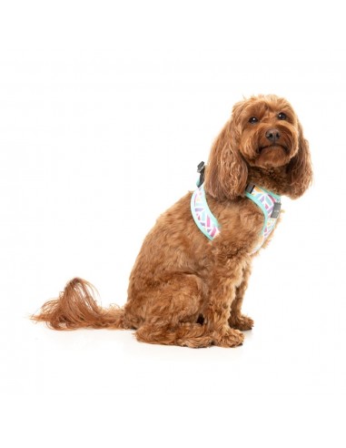 Pettorina step-in per cani FuzzYard Bubblegum Burst traspirante