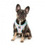 Pettorina step-in per cani FuzzYard Bubblegum Burst traspirante