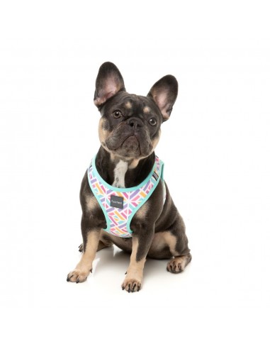 Pettorina step-in per cani FuzzYard Bubblegum Burst traspirante