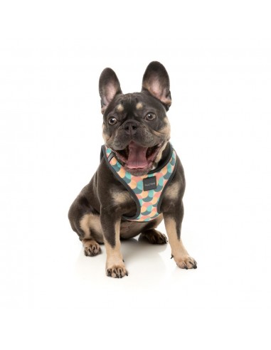 Pettorina step-in per cani FuzzYard Carioca traspirante