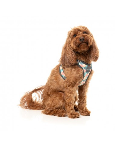 Pettorina step-in per cani FuzzYard Carioca traspirante