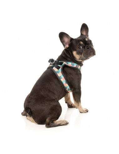 Pettorina step-in per cani FuzzYard Carioca traspirante