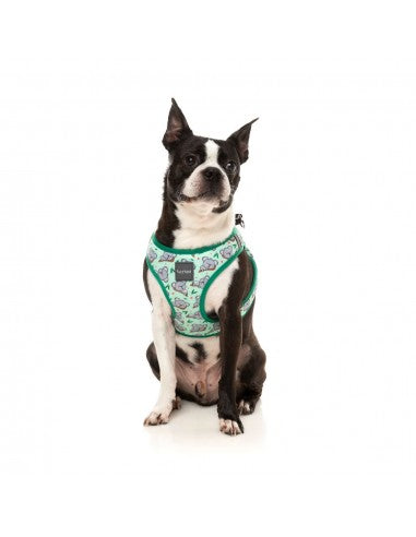 Pettorina step-in per cani FuzzYard Dreamtime Koalas traspirante