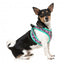Pettorina step-in per cani FuzzYard Fiesta traspirante e riflettente