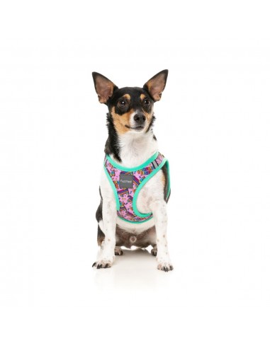 Pettorina step-in per cani FuzzYard Fiesta traspirante e riflettente