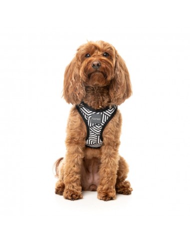 Pettorina step-in per cani FuzzYard Fitzroy traspirante e riflettente