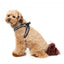 Pettorina step-in per cani FuzzYard Fitzroy traspirante e riflettente