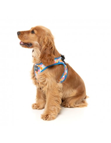 Pettorina step-in per cani FuzzYard Fresh Zest traspirante e riflettente
