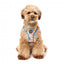 Pettorina step-in per cani FuzzYard Fresh Zest traspirante e riflettente