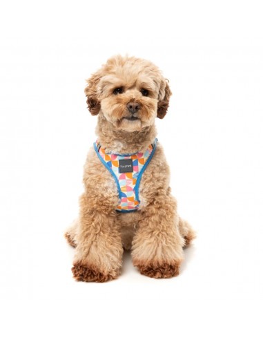 Pettorina step-in per cani FuzzYard Fresh Zest traspirante e riflettente