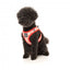 Pettorina step-in per cani FuzzYard Hey There Sweetie traspirante e riflettente