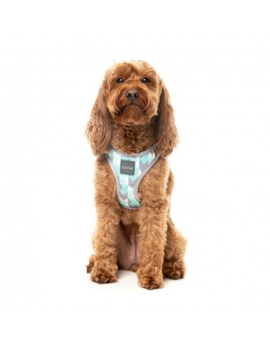 Pettorina step-in per cani FuzzYard Mint Fizz traspirante e riflettente