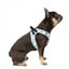 Pettorina step-in per cani FuzzYard Mint Fizz traspirante e riflettente