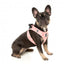 Pettorina step-in per cani FuzzYard Pink Lemonade traspirante e riflettente