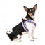 Pettorina step-in per cani FuzzYard Pluto Pup traspirante e riflettente
