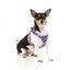 Pettorina step-in per cani FuzzYard Pluto Pup traspirante e riflettente