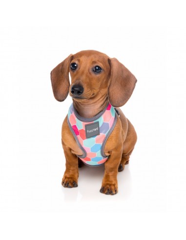Pettorina per cani in lycra traspirante FuzzYard The Hive