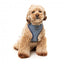 Pettorina per cani in lycra traspirante FuzzYard Thornbury Aegean Blue