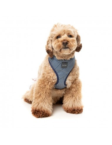 Pettorina per cani in lycra traspirante FuzzYard Thornbury Aegean Blue