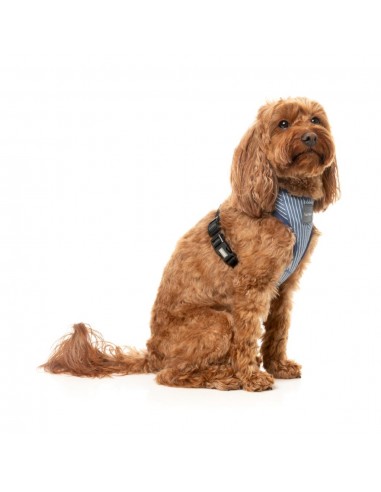 Pettorina per cani in lycra traspirante FuzzYard Thornbury Aegean Blue