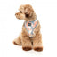 Pettorina per cani in lycra traspirante FuzzYard Yazd