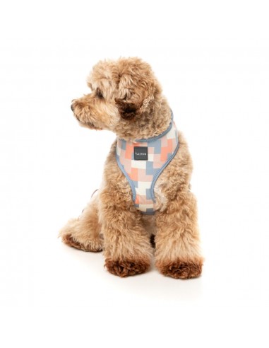 Pettorina per cani in lycra traspirante FuzzYard Yazd