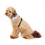 Pettorina per cani in lycra traspirante FuzzYard Yazd