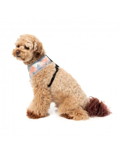 Pettorina per cani in lycra traspirante FuzzYard Yazd