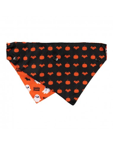 Papillon di Halloween per cani FuzzYard Spooky Ghost M/L