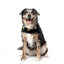 Gilet per cani FuzzYard Rep It Ranger con chiusura in velcro