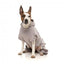 Felpa con cappuccio per cani FuzzYard Urban grigio chiaro