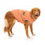 Cappottino imbottito in cotone per cani FuzzYard Ashbury pesca