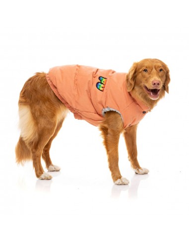 Cappottino imbottito in cotone per cani FuzzYard Ashbury pesca