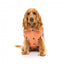 Cappottino imbottito in cotone per cani FuzzYard Ashbury pesca