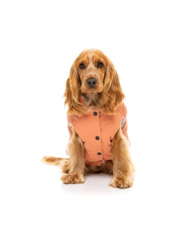 Cappottino imbottito in cotone per cani FuzzYard Ashbury pesca